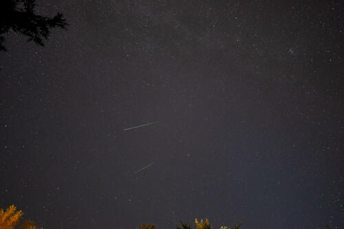 Perseid (19)